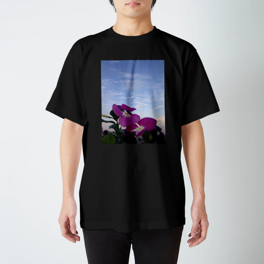 magiarazin1の清々しい空 スタンダードTシャツ