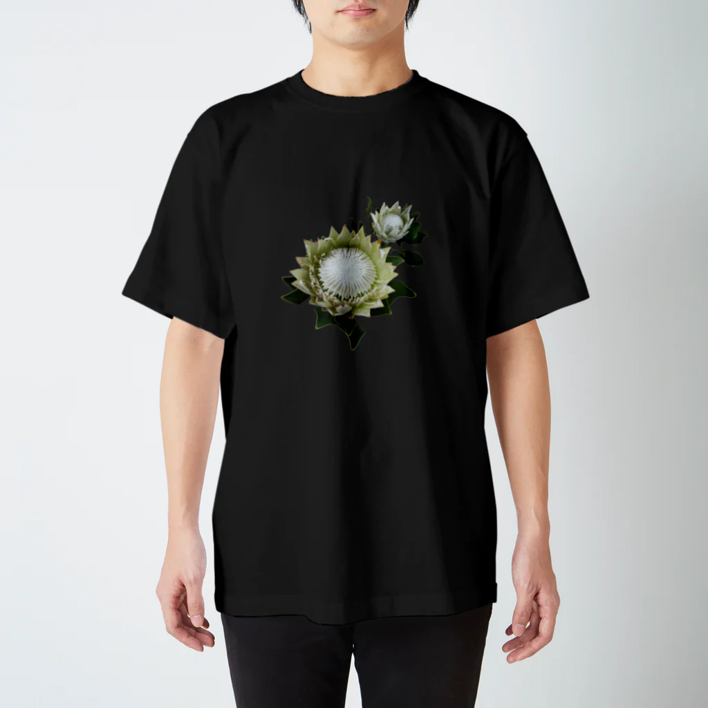flower & Plants EdenのWild Flower キングプロテア Regular Fit T-Shirt