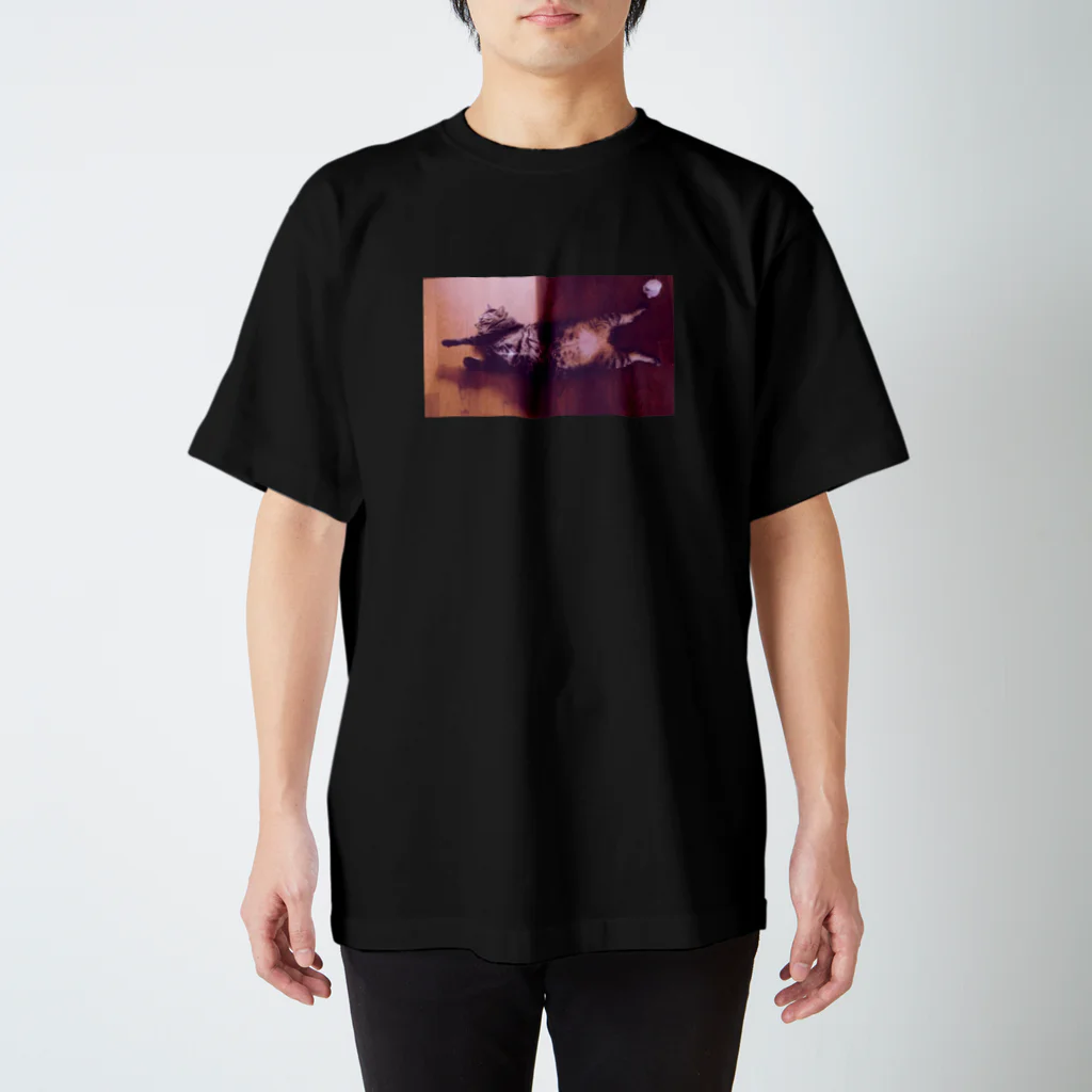 ヒラキノボルのPhotography 《福》 Regular Fit T-Shirt