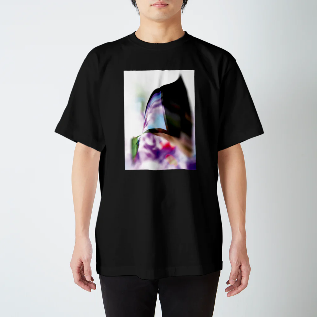 Ambiguous"Shopの Ambiguous_no.9 スタンダードTシャツ