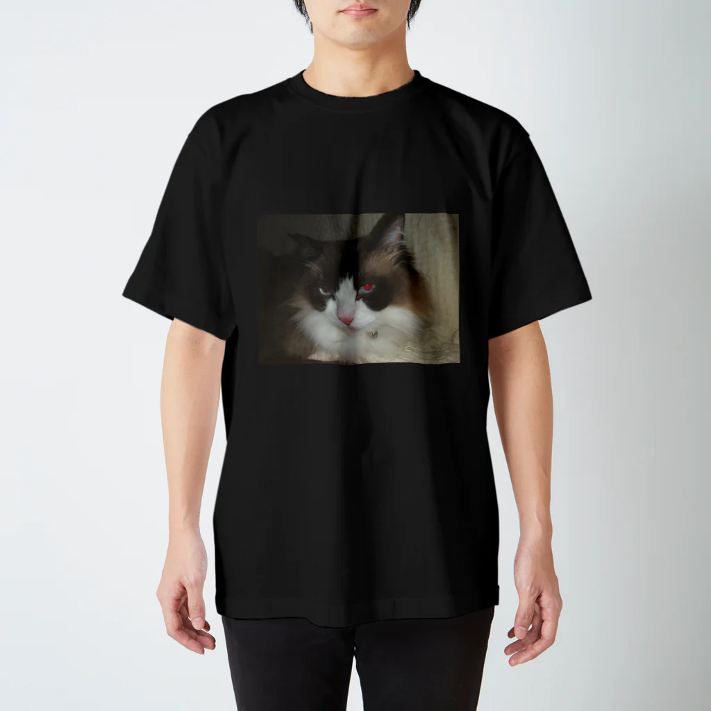 AYA’s Photography のMimi-redeyes  スタンダードTシャツ