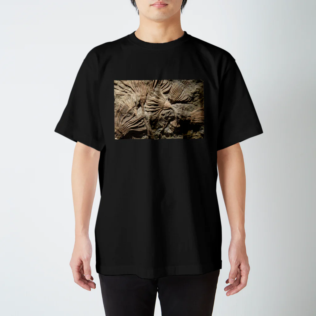 神田🅙のカクトクリヌス Regular Fit T-Shirt