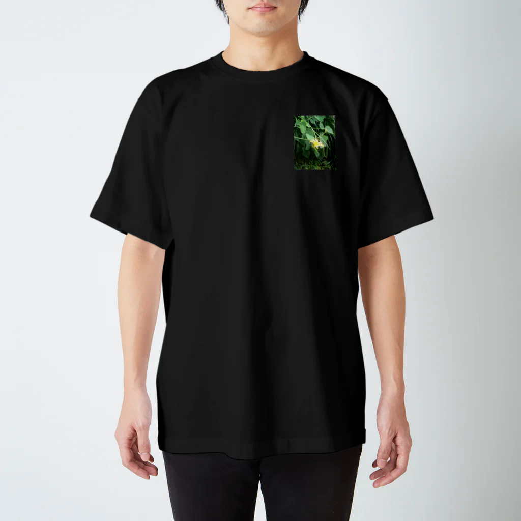 hiraiのflower スタンダードTシャツ