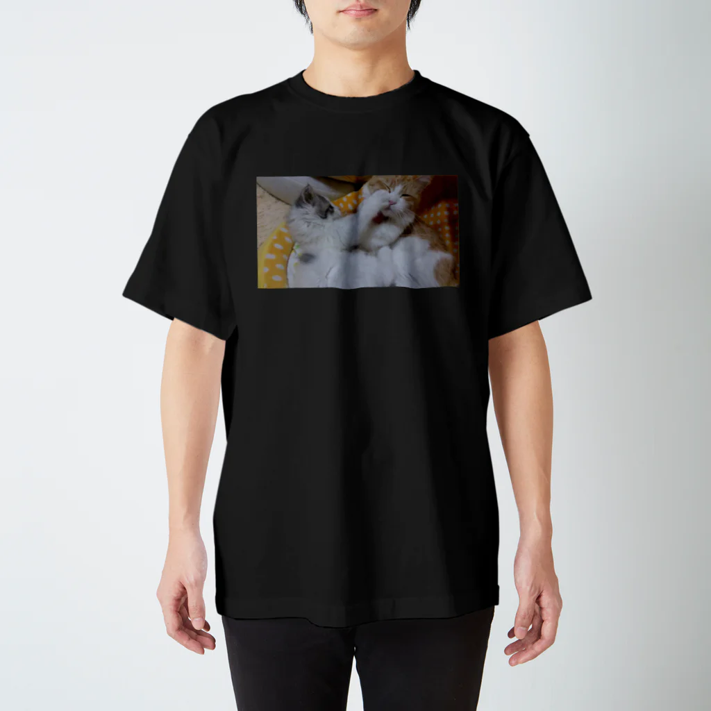 あまりずむの初めての挑戦 Regular Fit T-Shirt