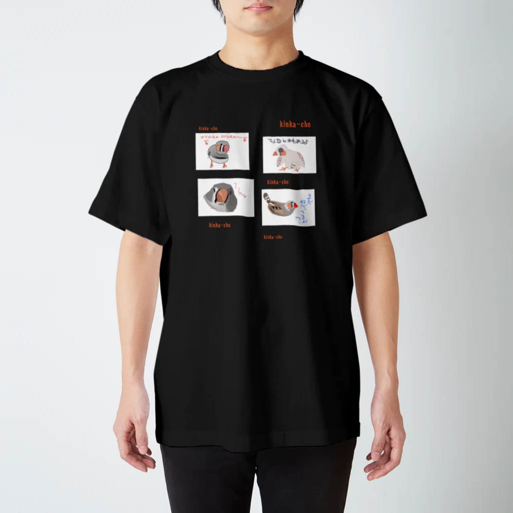 Mitsu-ZoのKinka-TT スタンダードTシャツ