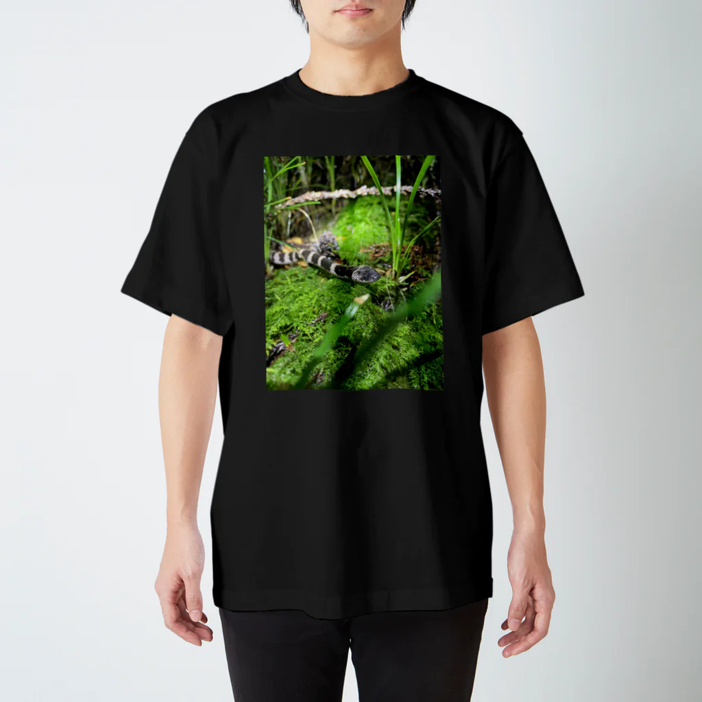 日本の両生類、爬虫類たちの幻の蛇？シロマダラ Regular Fit T-Shirt