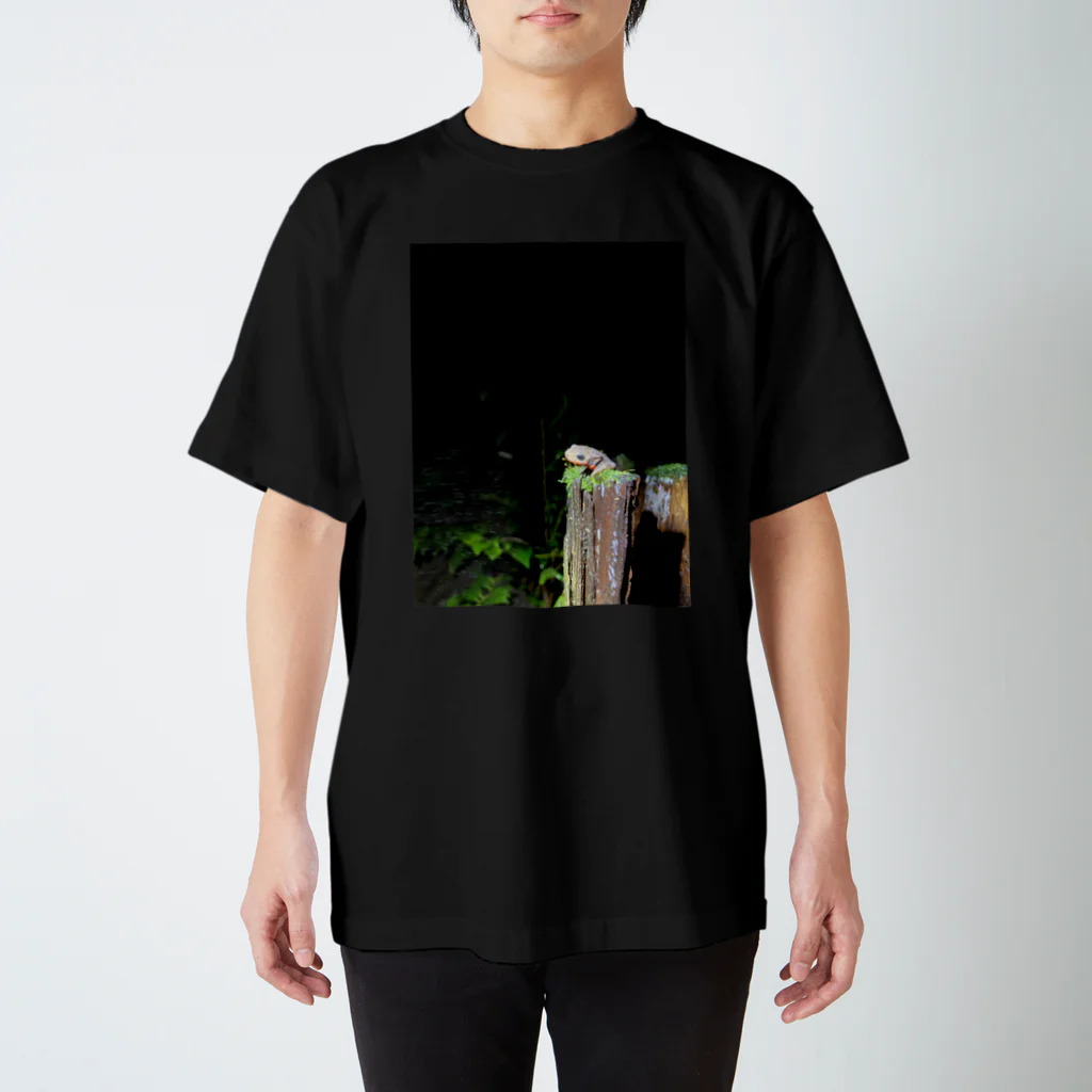 日本の両生類、爬虫類たちの登山するアカハライモリさん Regular Fit T-Shirt