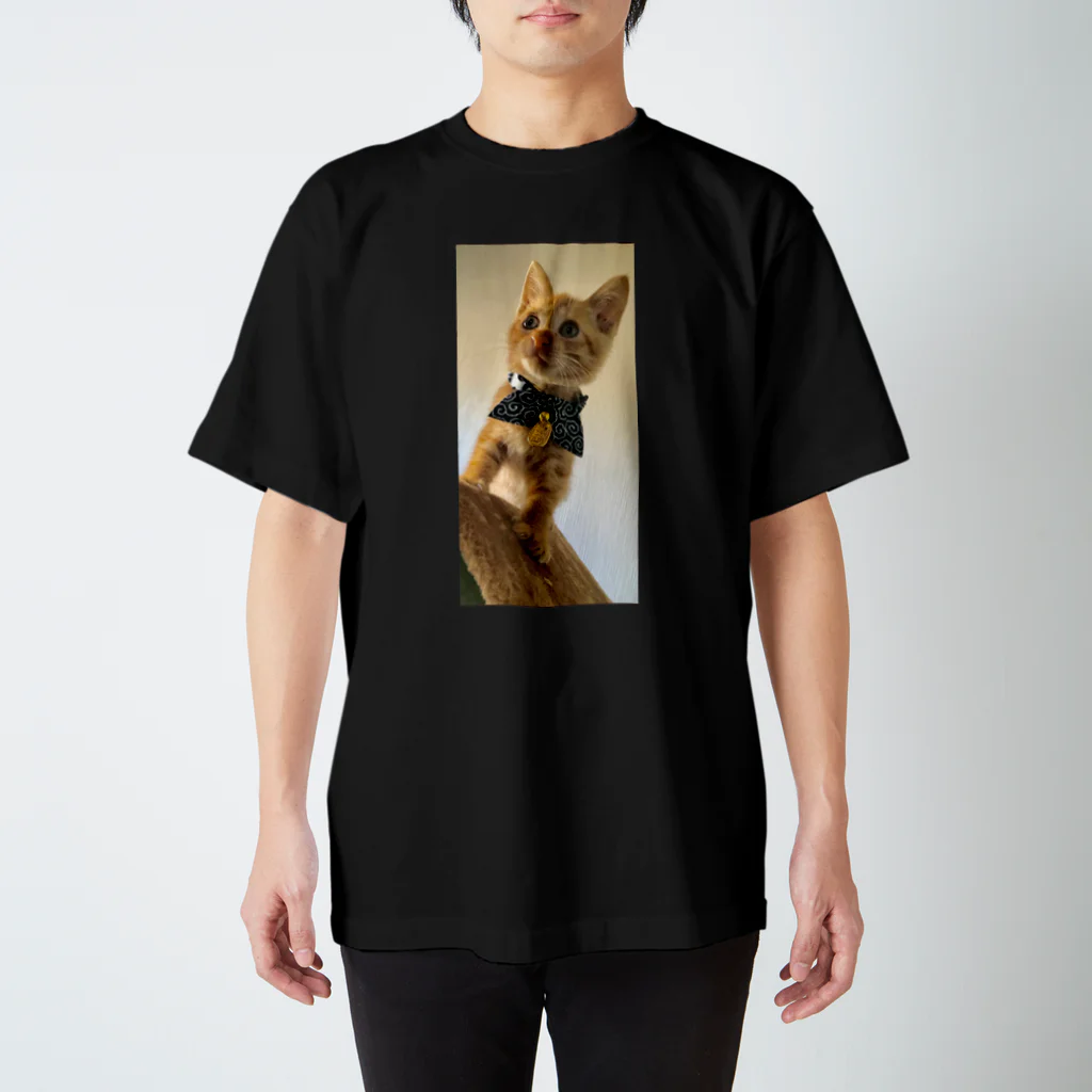 ryutobiの保護猫ロン君！ スタンダードTシャツ