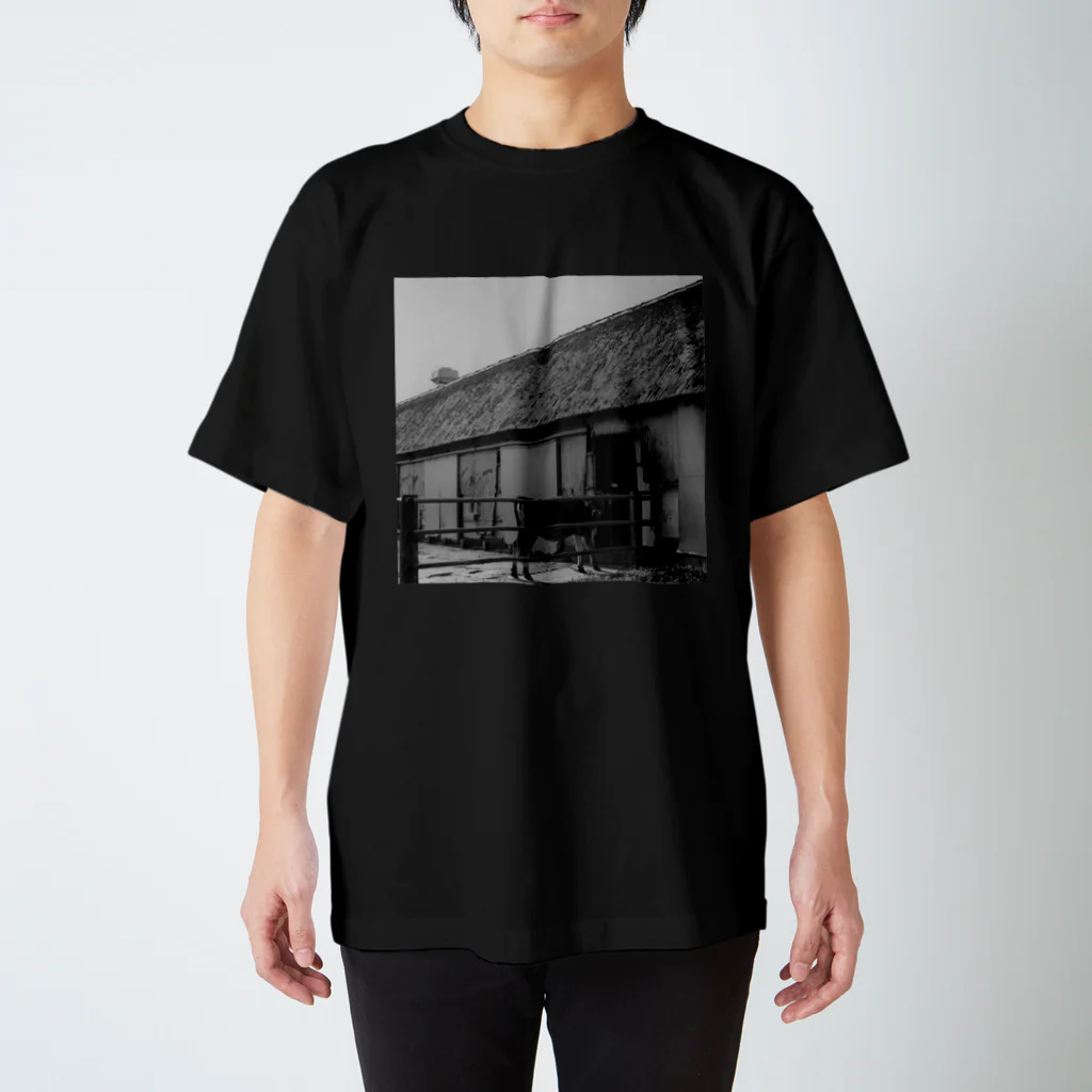 PORTONE, ART, LABORATORY.のThe Calf's Eye スタンダードTシャツ