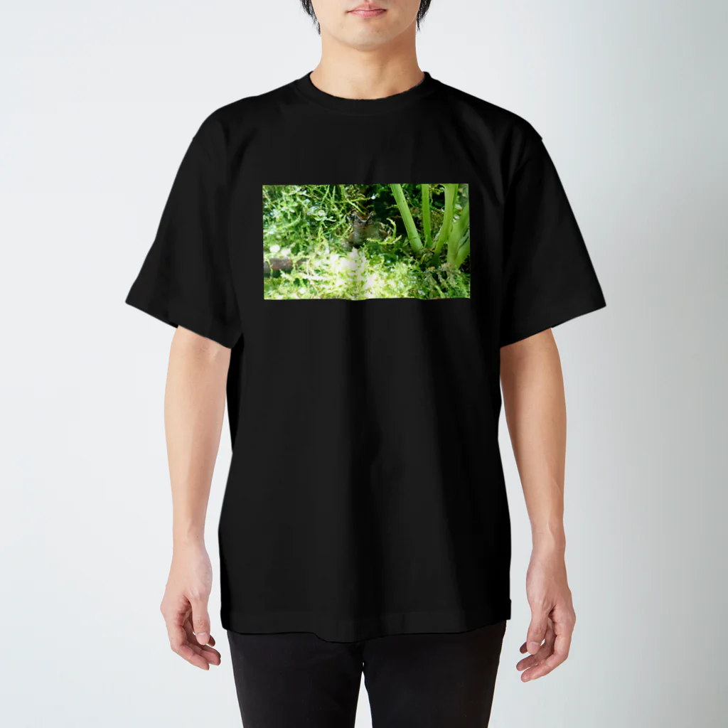 シロツメクサの雨の中のカエル🐸 スタンダードTシャツ