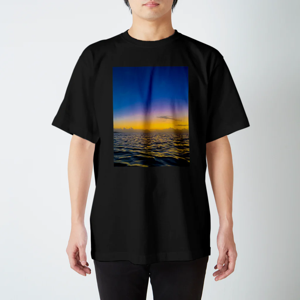 mizuphoto galleryのNight to the crescent moon スタンダードTシャツ