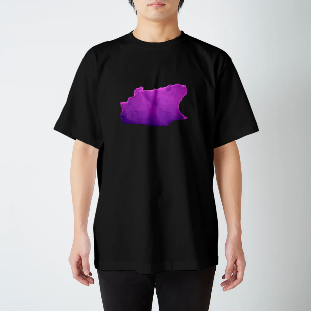 kozyの北極の氷！ スタンダードTシャツ