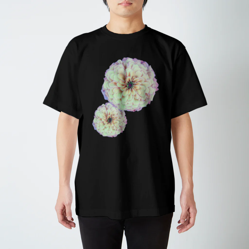 花水の夢花白二輪 スタンダードTシャツ