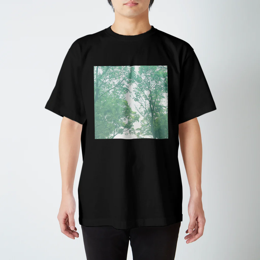 otoyaの木漏れ日 Regular Fit T-Shirt