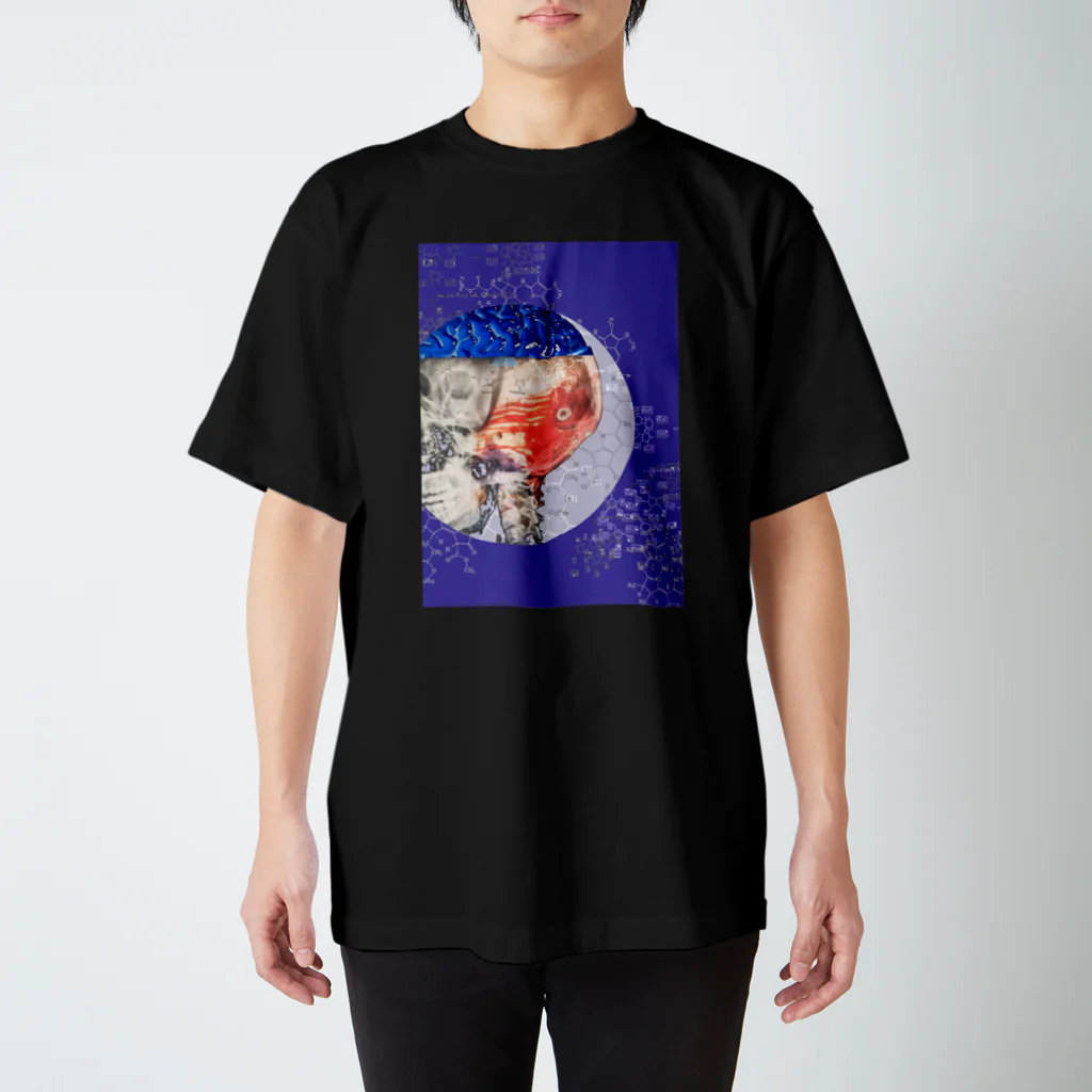 HIRAの自画像 Regular Fit T-Shirt