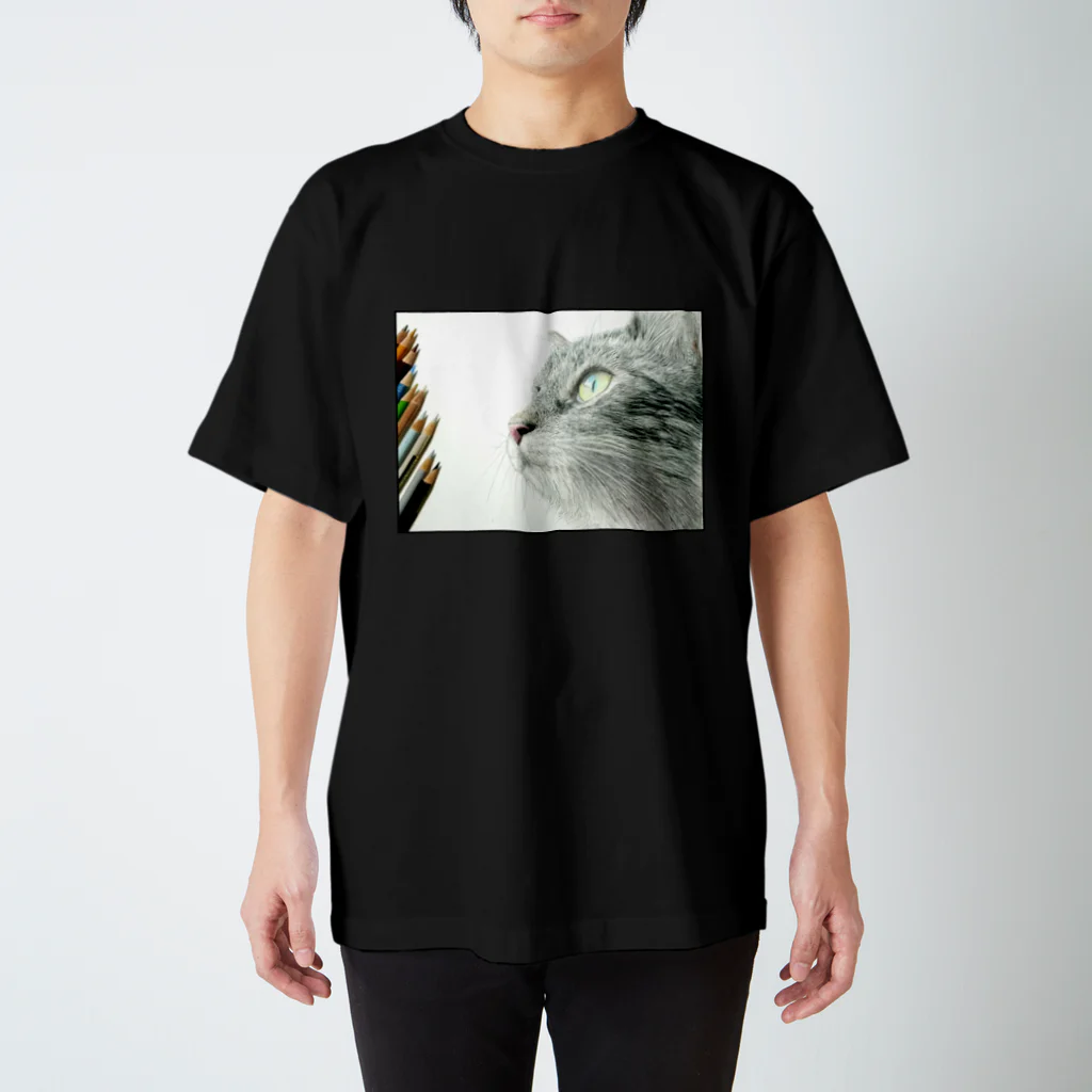 Sonna Kanjiのグッズの空を見てる猫 スタンダードTシャツ