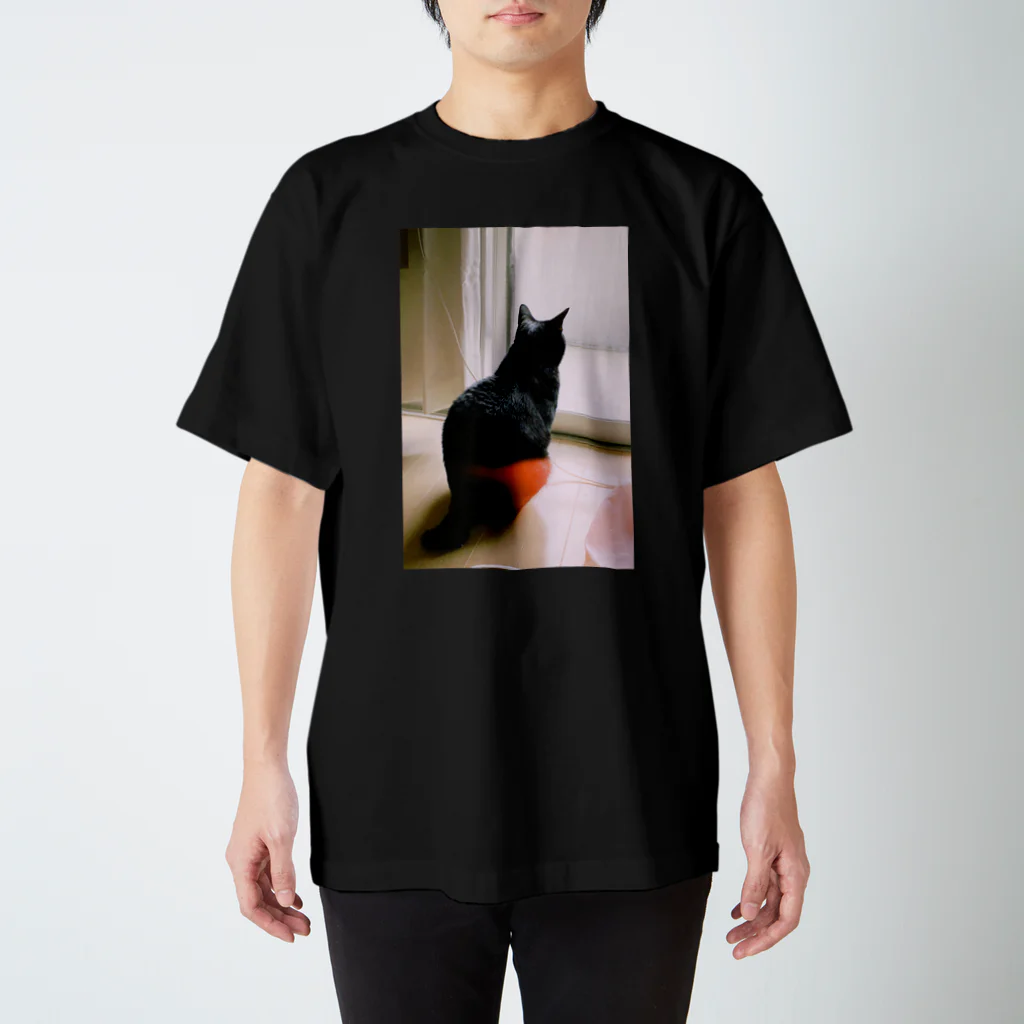 おちゃのこさいさいのねこの背中のねこ Regular Fit T-Shirt