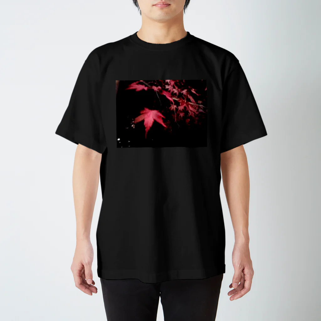 ちょっと夢見るわんだーらんどの夜もみじ スタンダードTシャツ