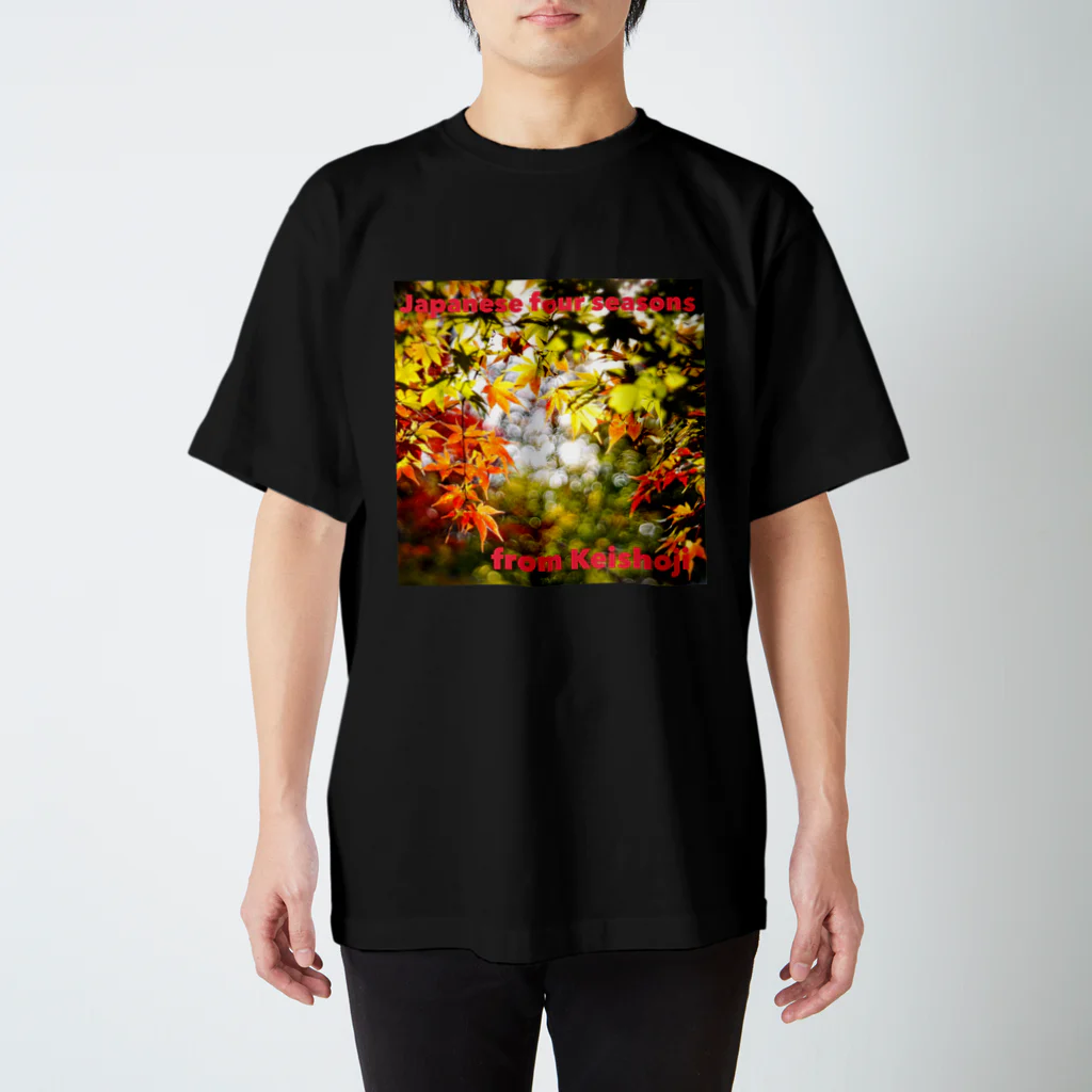 keishojiの紅葉 Ⅰ〜Japanese four seasons from   Keishoji〜 Regular Fit T-Shirt