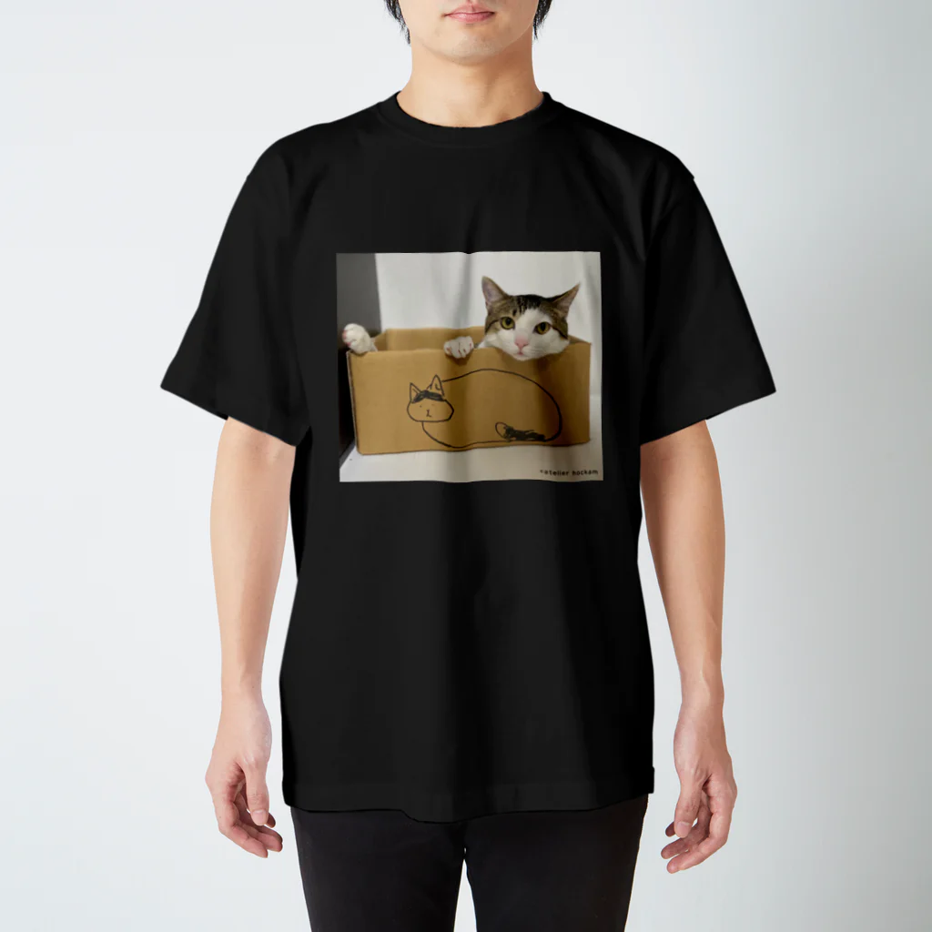 ほっかむねこ屋（アトリエほっかむ）のそよの箱に入るこち Regular Fit T-Shirt