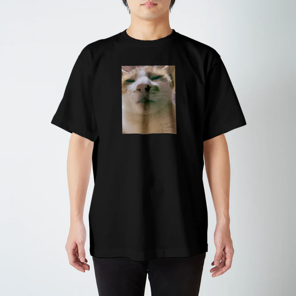 ★社不シスターズ★のうちのふてぶてしいねこ スタンダードTシャツ