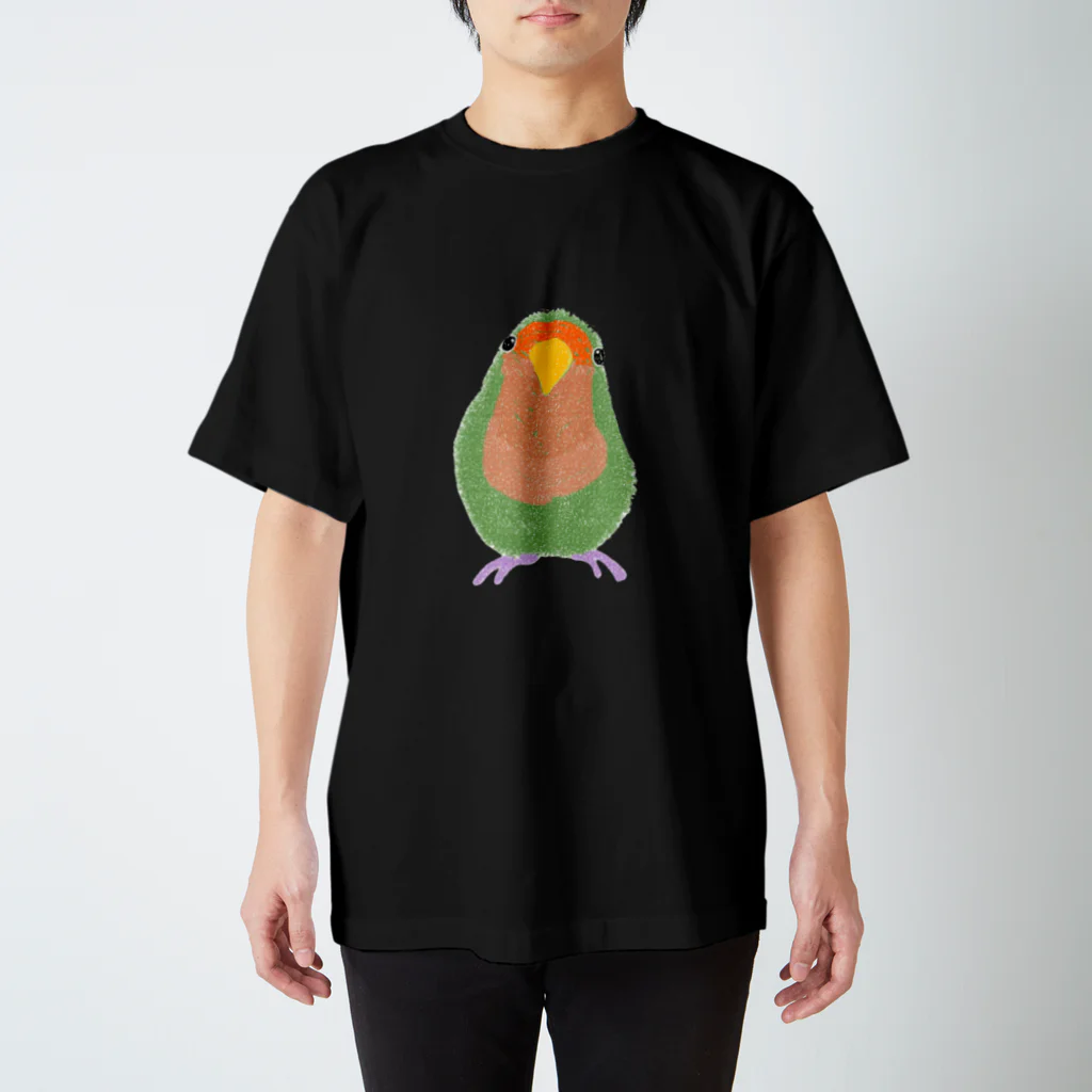 鳥の巣のコザクラインコのスイカ君 スタンダードTシャツ