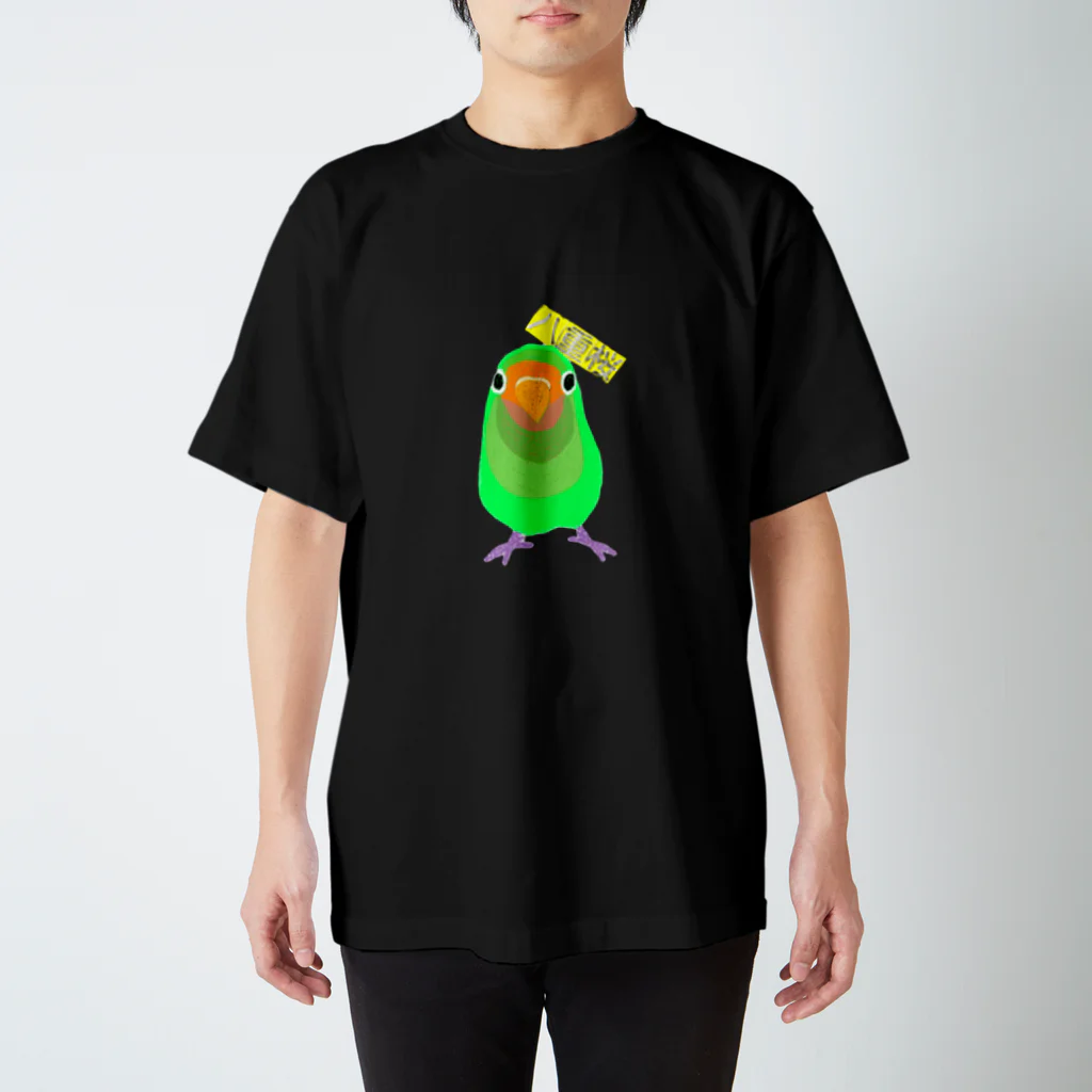 鳥の巣のヤエザクラインコさん スタンダードTシャツ