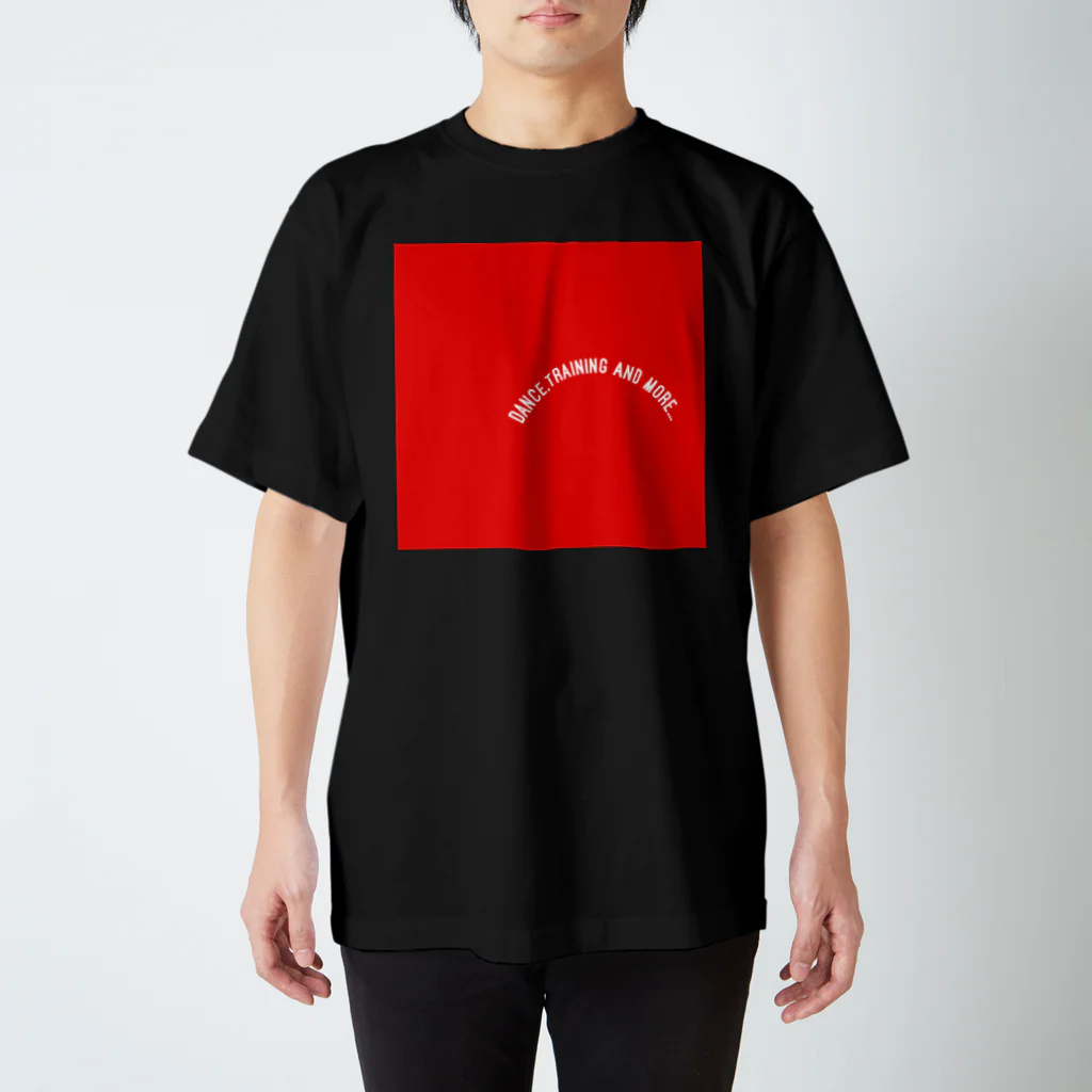 SDC Clothing StoreのA-ch Basic Tshirts スタンダードTシャツ