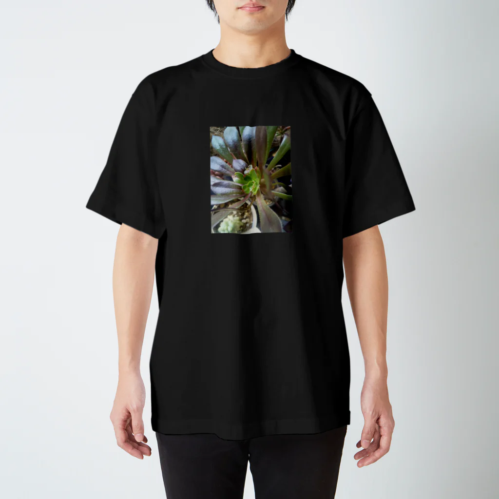 ミクロの多肉植物の黒法師 Regular Fit T-Shirt