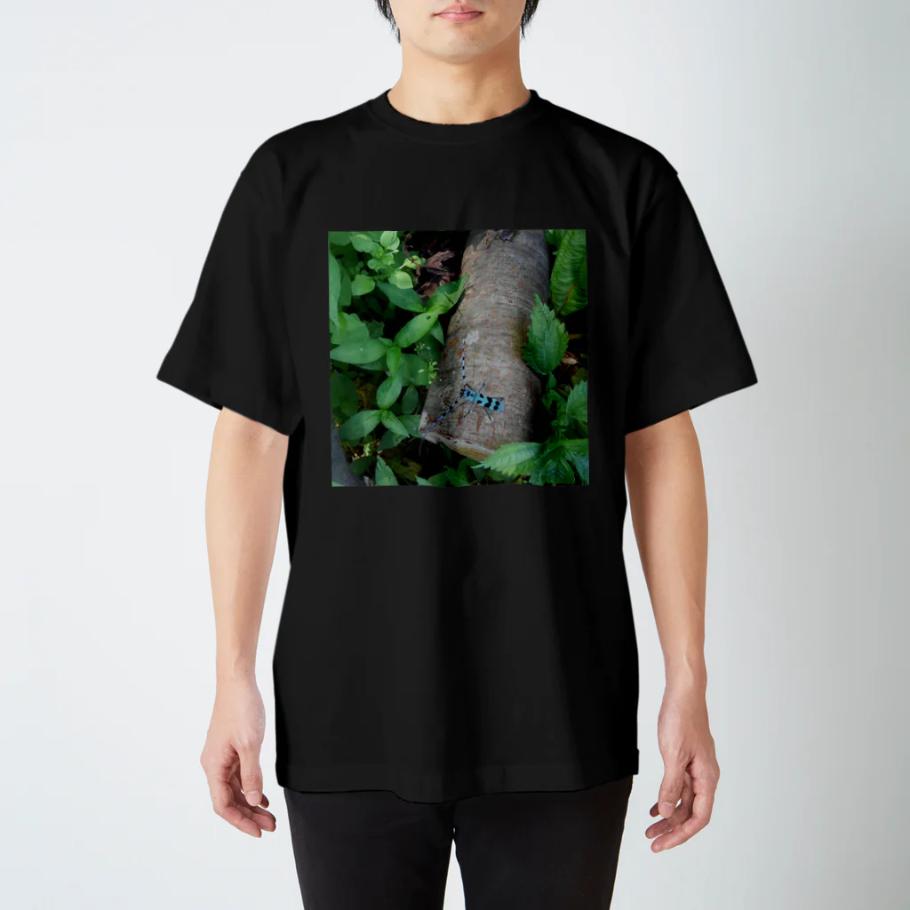 ミクロのルリボシカミキリくん Regular Fit T-Shirt