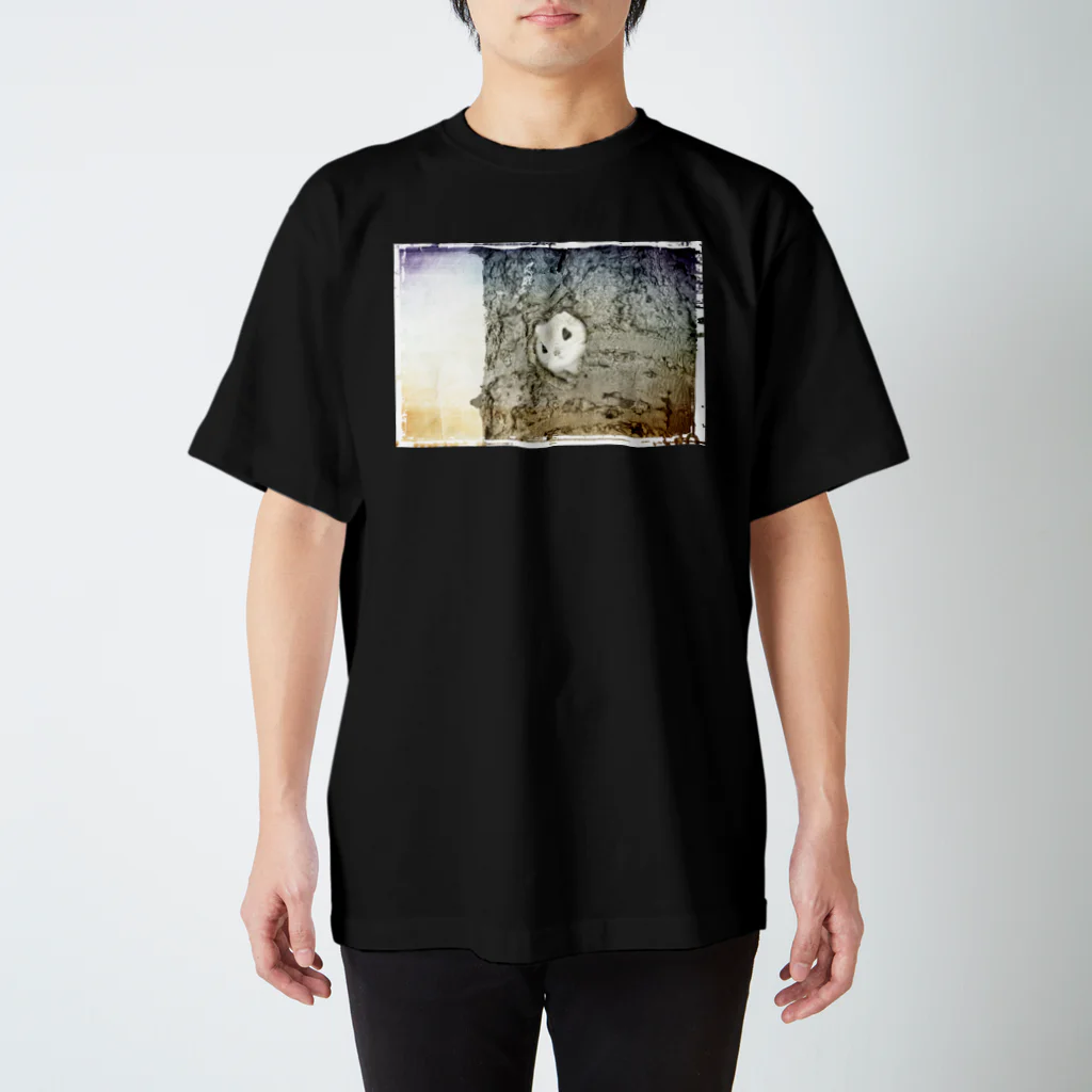 もふもふのエゾモモンガ Regular Fit T-Shirt