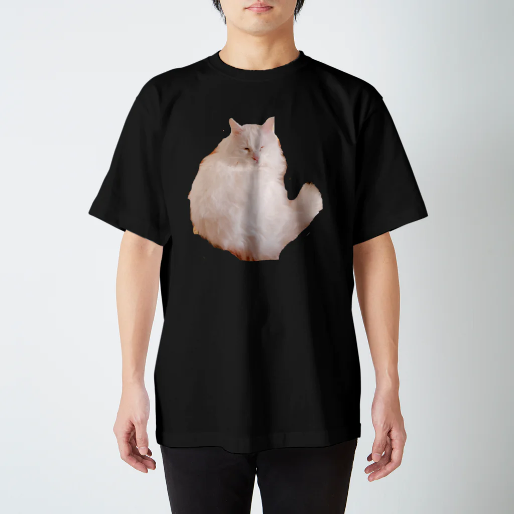 MARiNECCOのcat Regular Fit T-Shirt