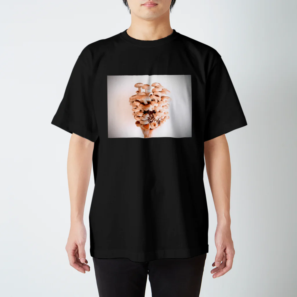 machida_machikoの沢山生えた椎茸 スタンダードTシャツ