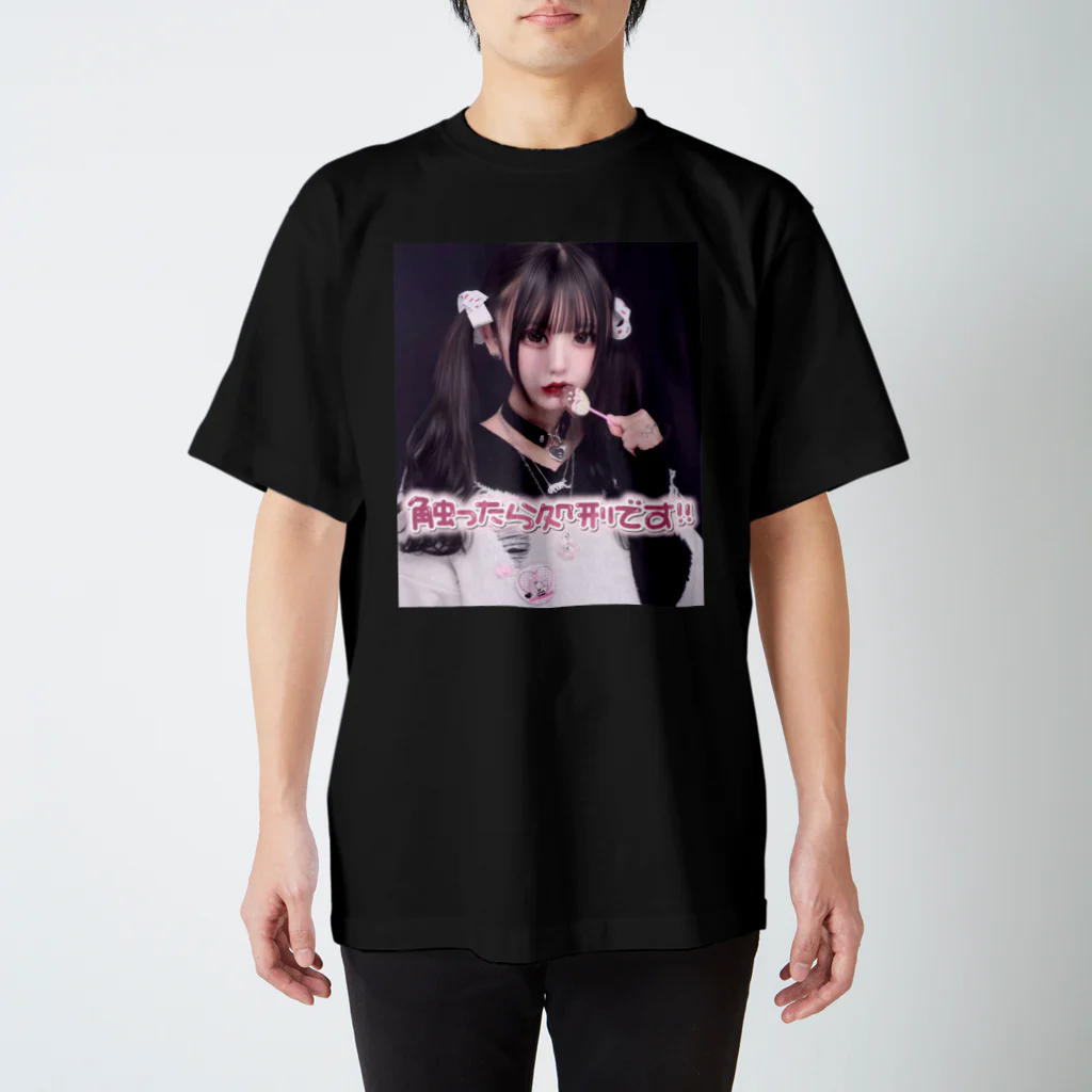 はちゃんすとあのリア友ちゃん用♡はちゃんTシャツ スタンダードTシャツ