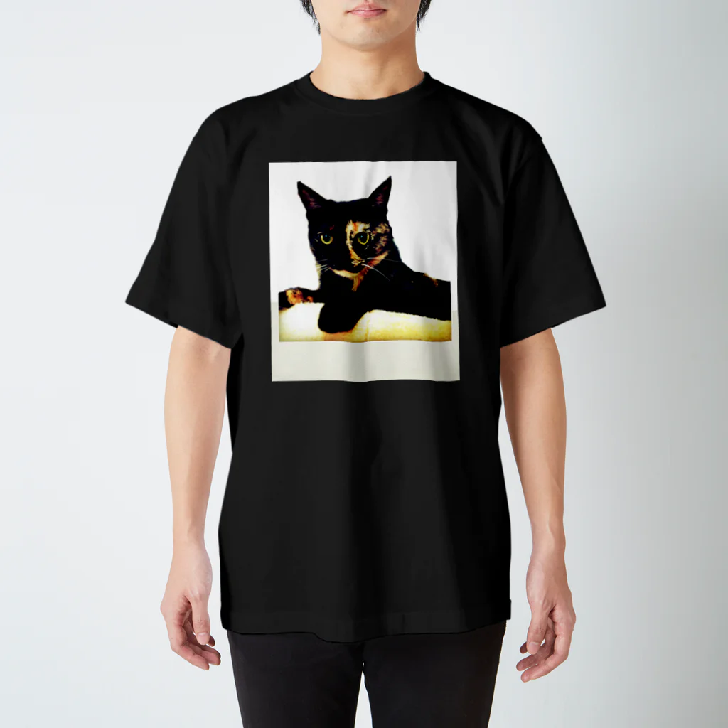 ぽちこじ屋のサビ猫チャビ Regular Fit T-Shirt