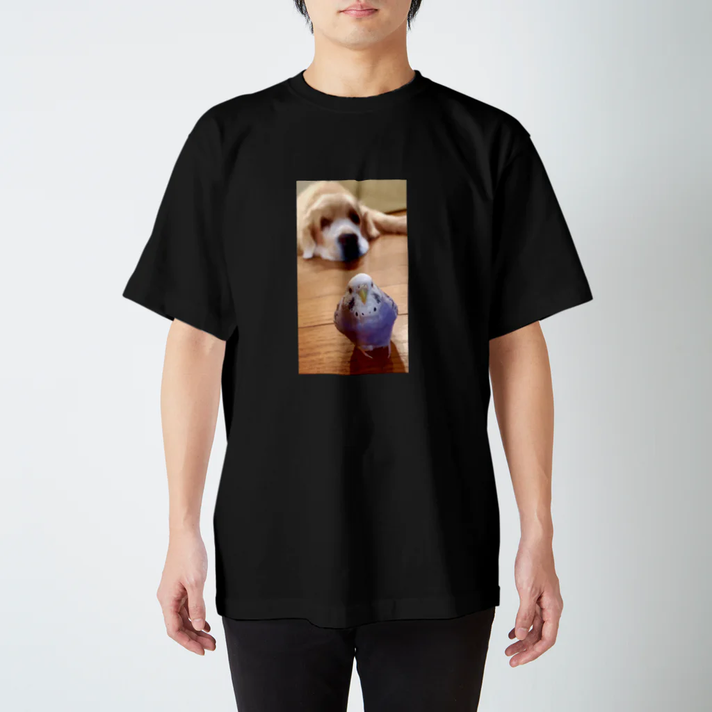 山田太郎のセキセイインコさんとゴールデンレトリバーくん スタンダードTシャツ