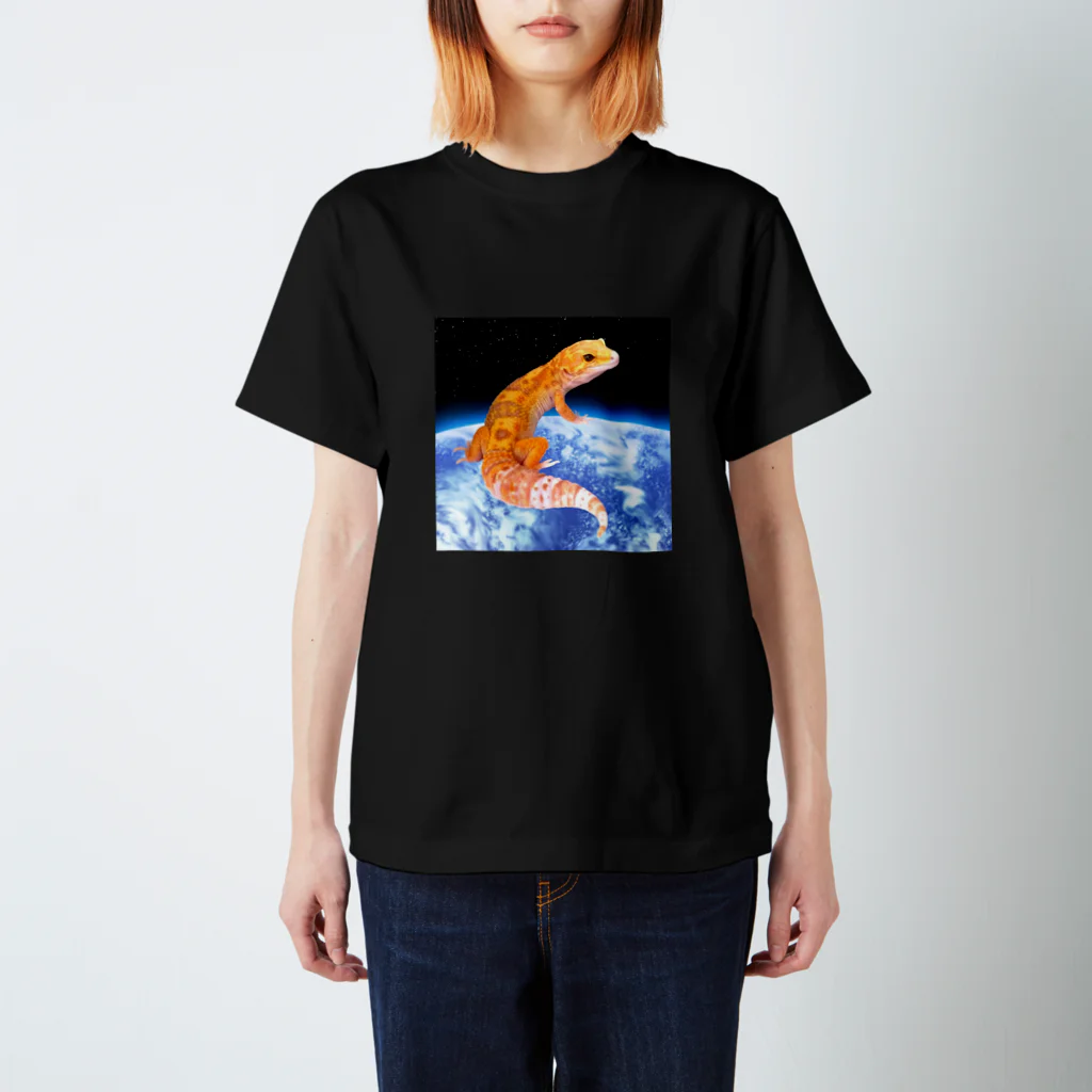 モモンガのしっぽのLeopa on the Earth スタンダードTシャツ