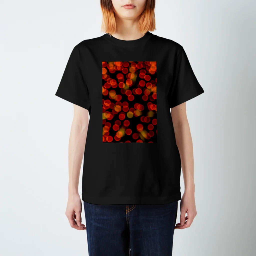 一瞬の花火のレッドボール Regular Fit T-Shirt