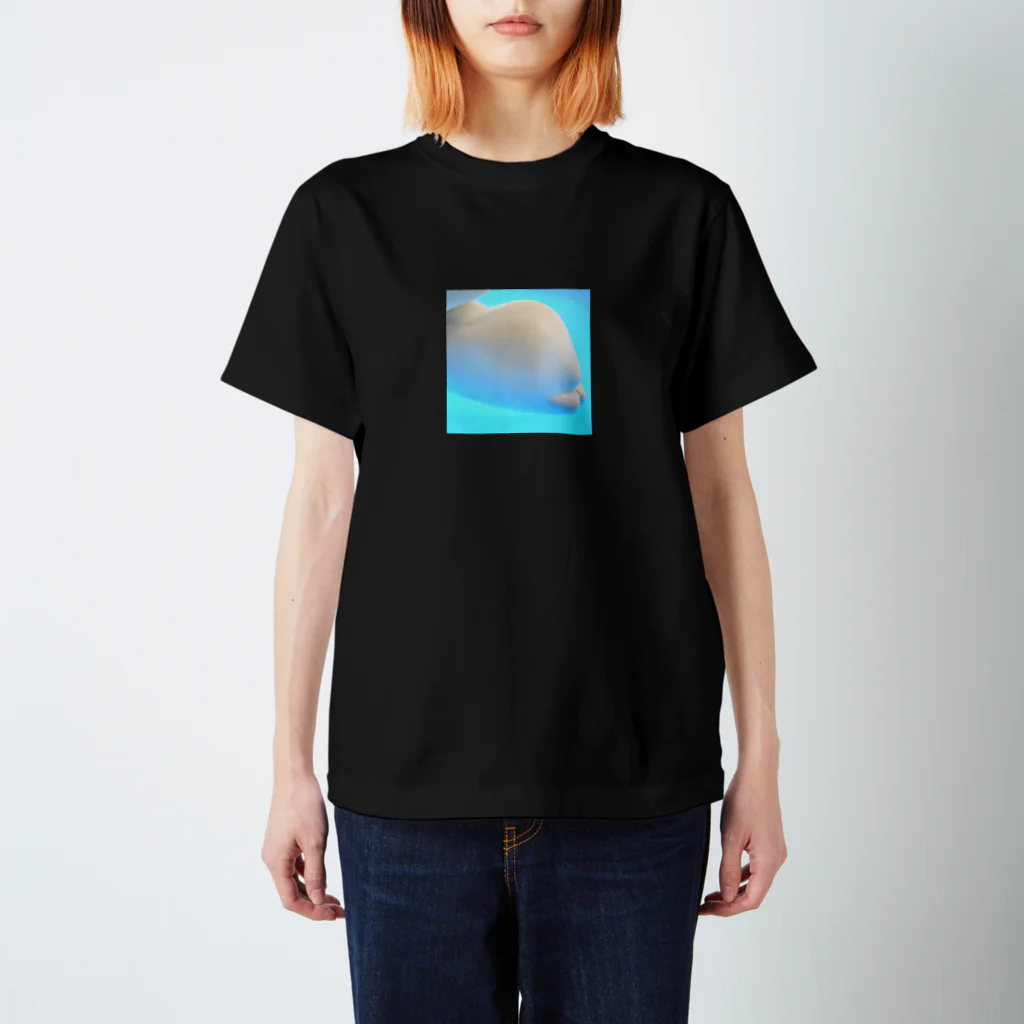 akiTaroのうさしり Regular Fit T-Shirt