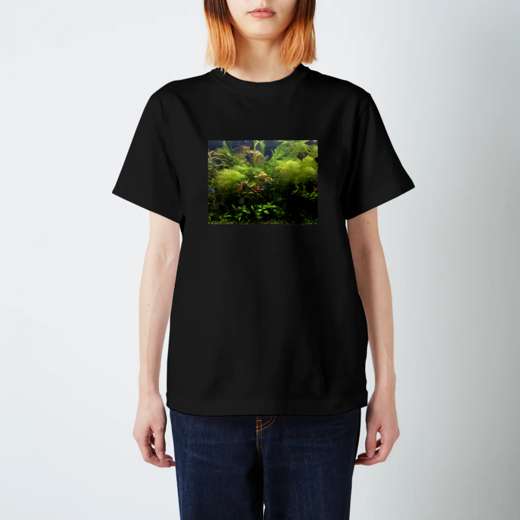 fazerの水景 スタンダードTシャツ