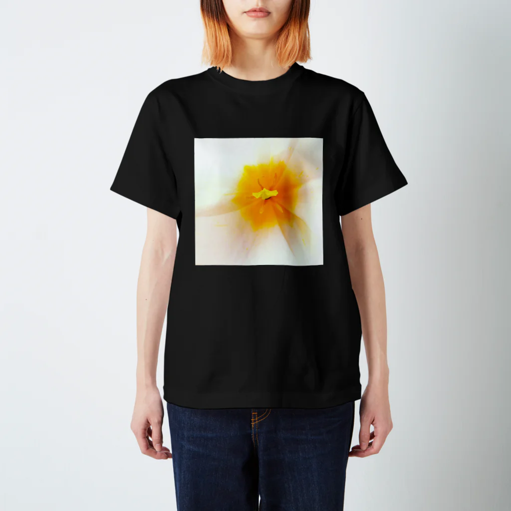 Yasuko Masuda ますだやすこのチューリップWH スタンダードTシャツ