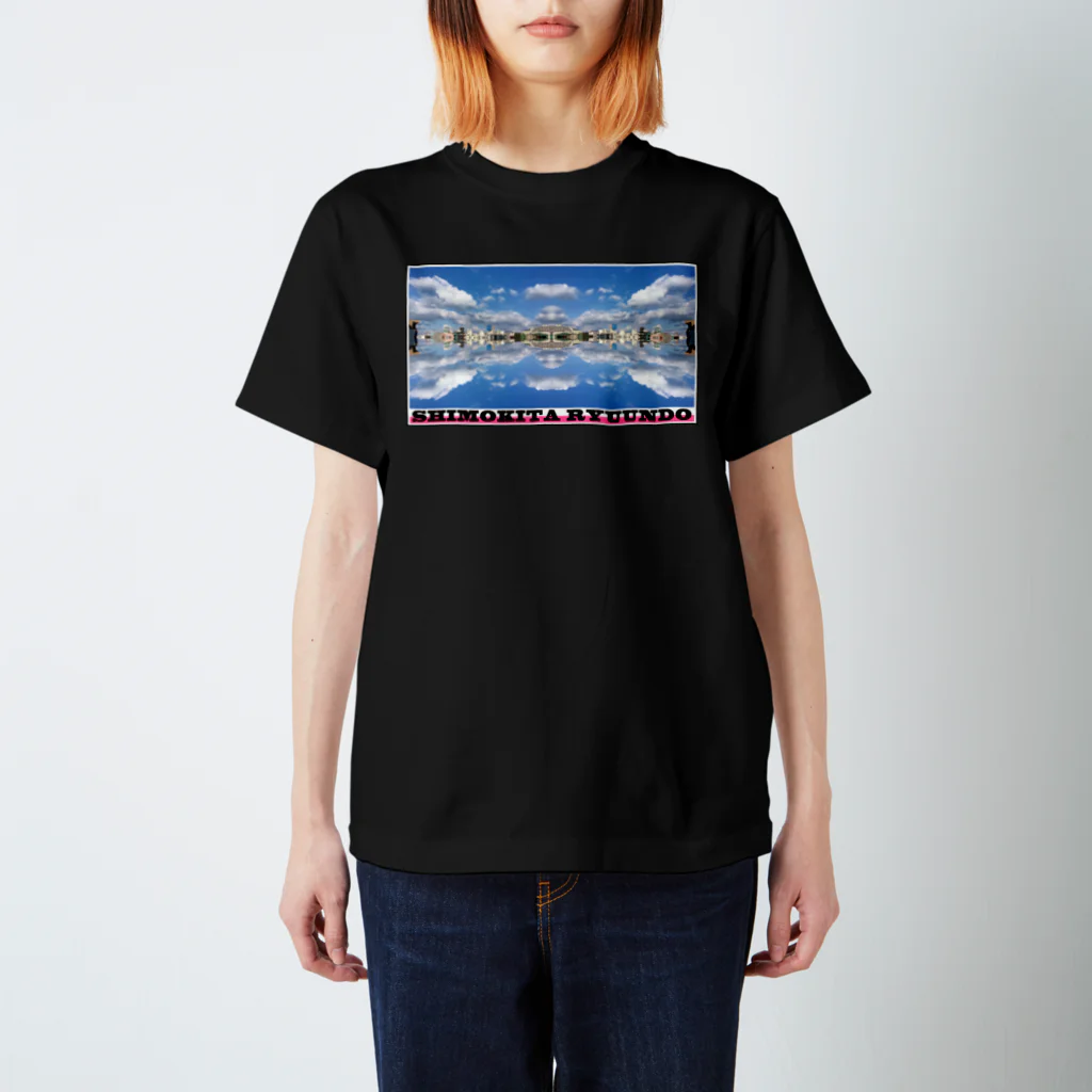 下北龍雲堂の【🐉開運🐉】分身吐龍雲（英字ロゴ・四面反転）グッズ スタンダードTシャツ