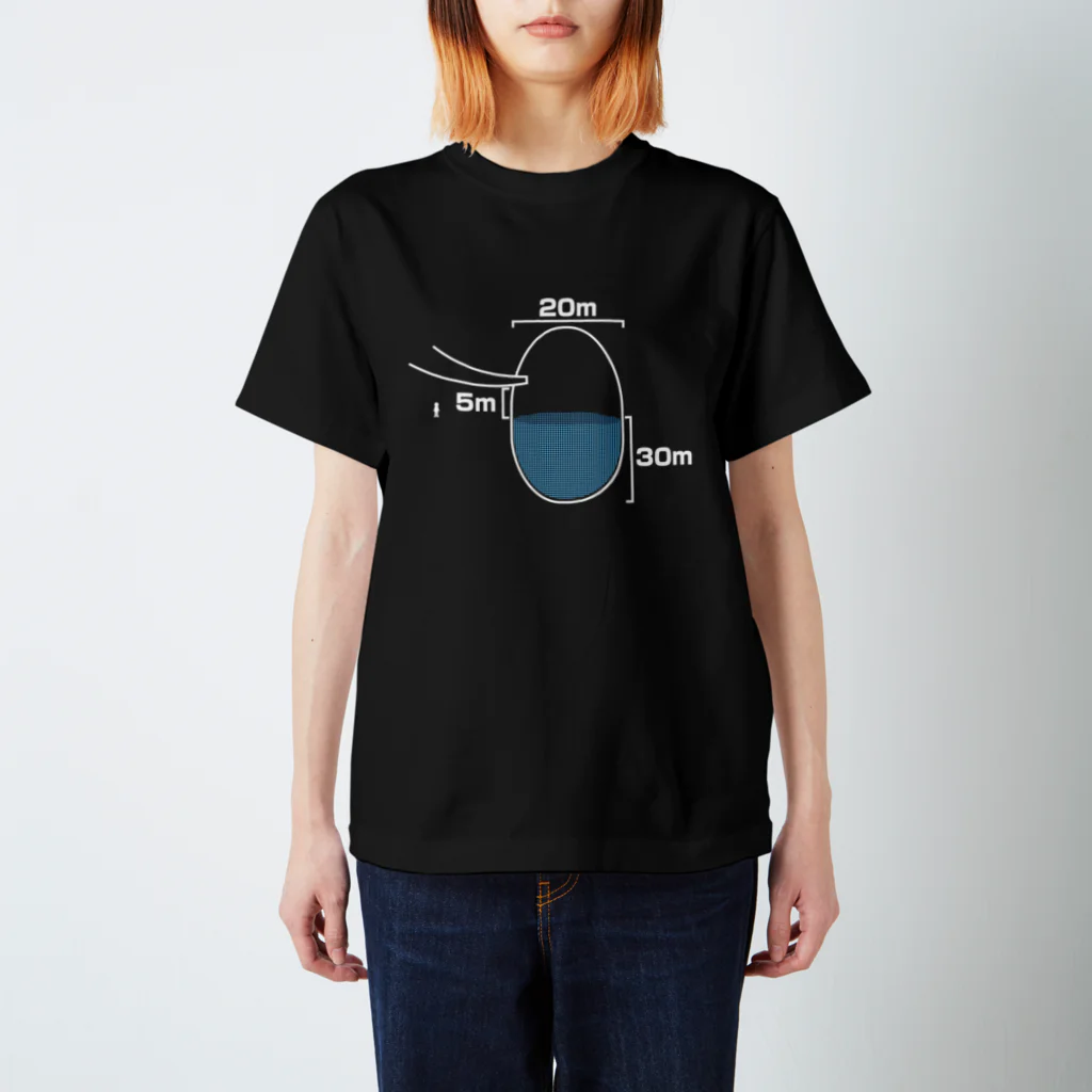 だてレビの某地下空間の模式図（白） スタンダードTシャツ