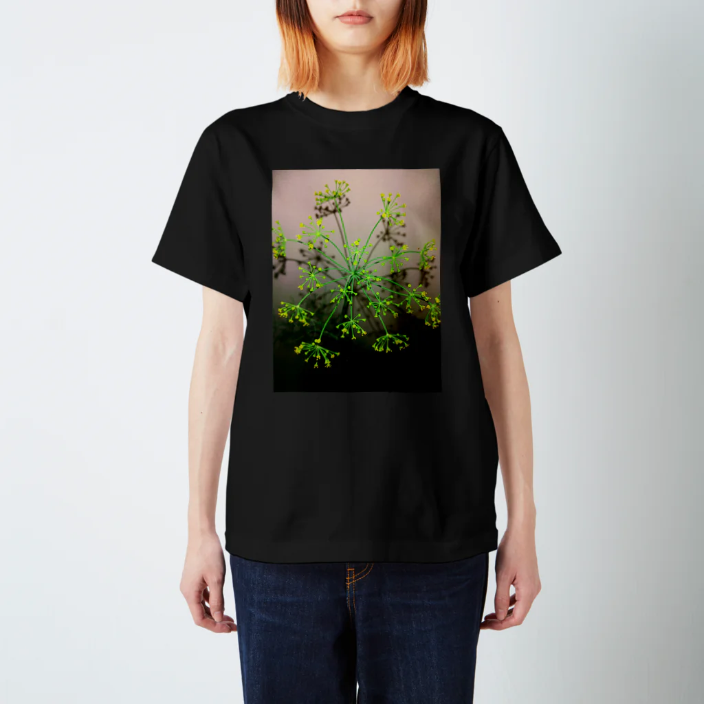 あかつきの花火 Regular Fit T-Shirt