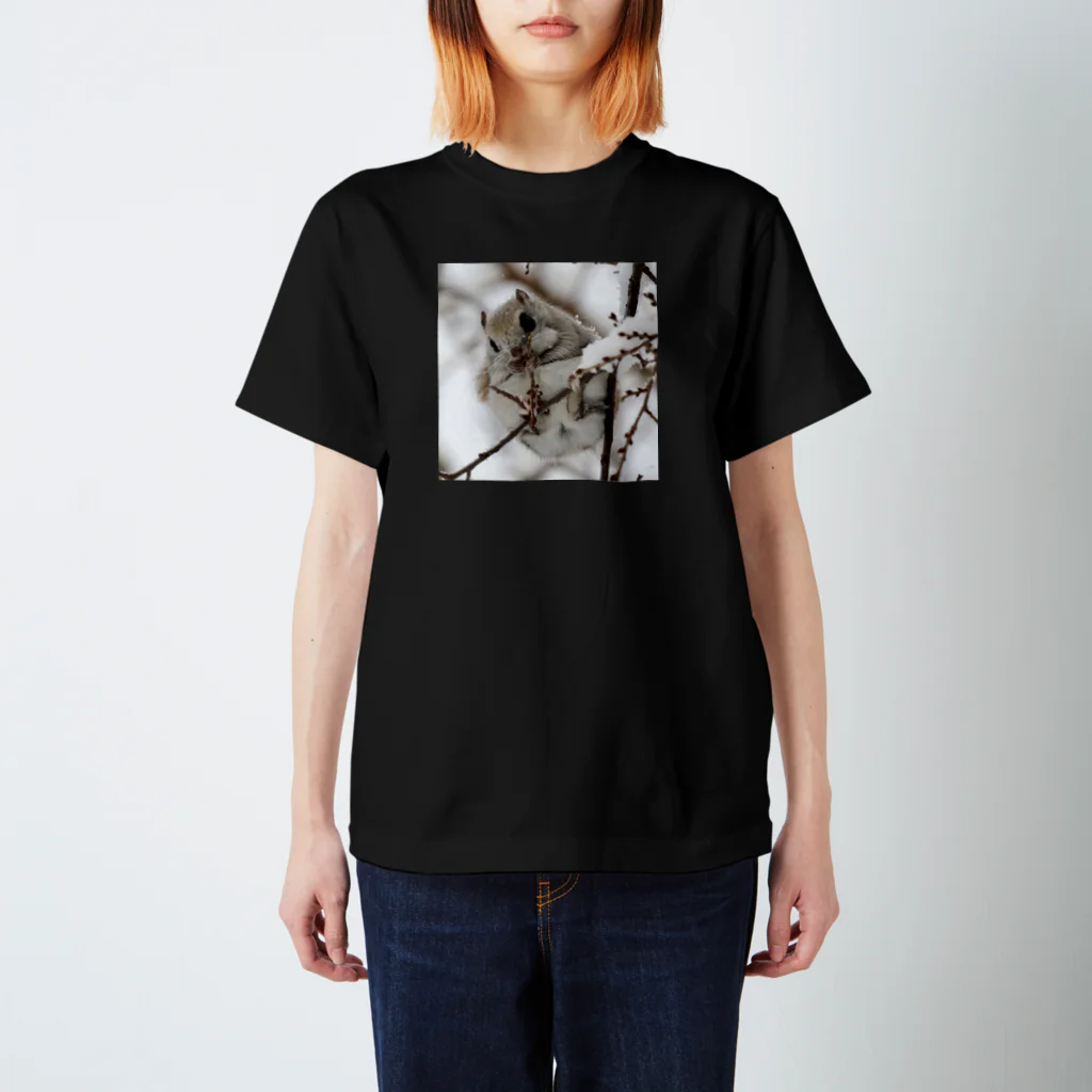 【エゾモモンガの店】使うだけで人生豊かに生られるサロベツの動物◆にこらびの【あざといで賞】サロベツのエゾモモンガ Regular Fit T-Shirt