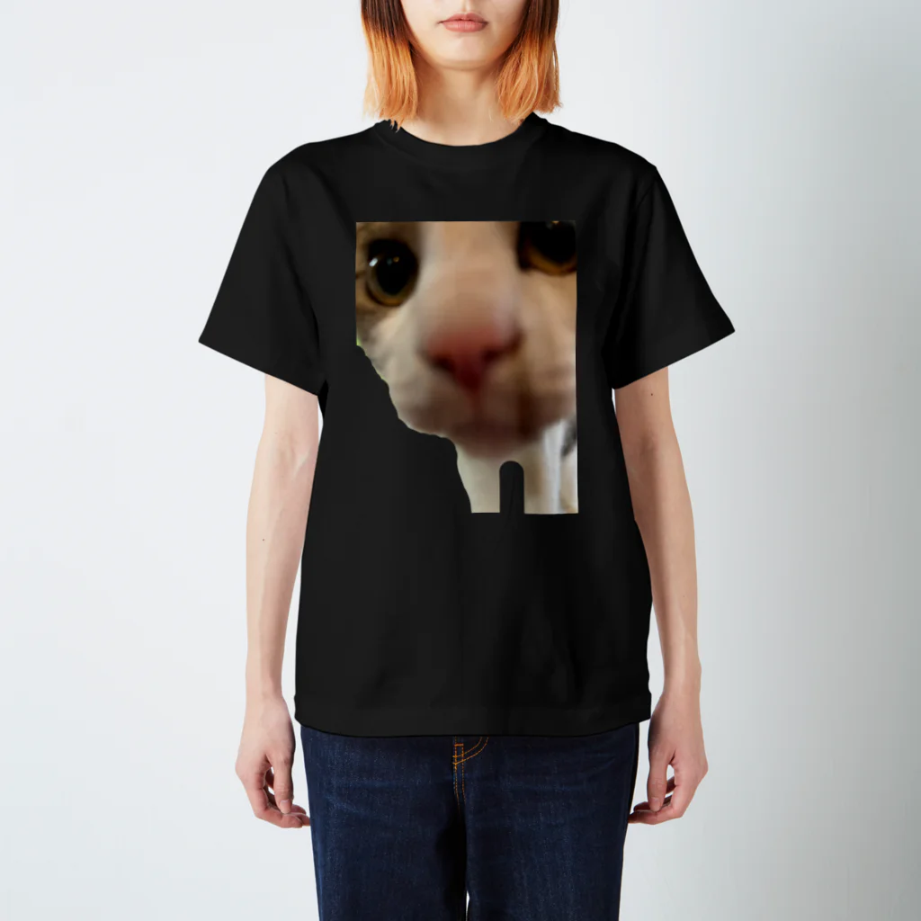 いやし猫　ふぁにーきゃっとのいやし猫　無限ちゃん スタンダードTシャツ