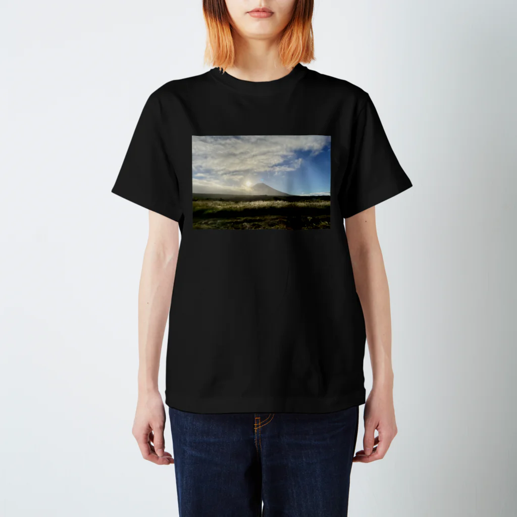 つぶつぶとのMt.Fuji スタンダードTシャツ