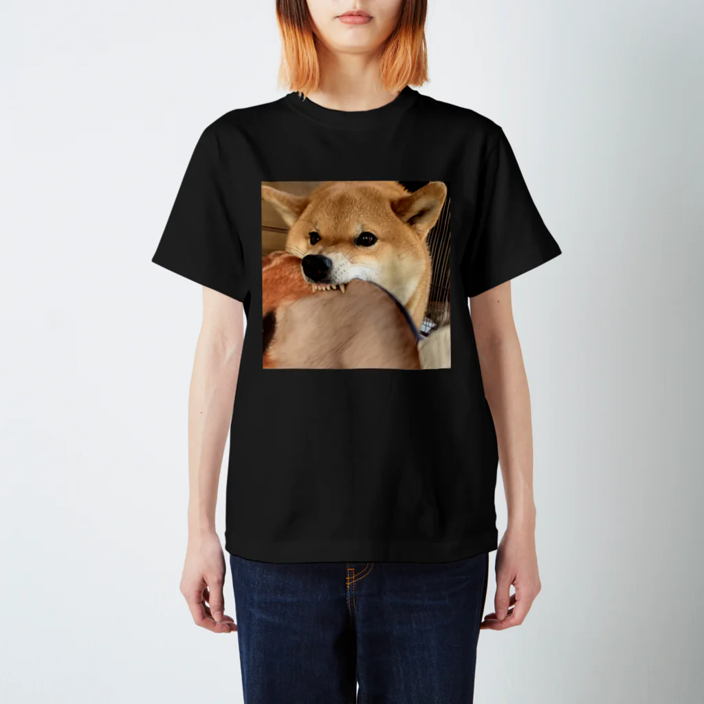 kinakoyamaのゲキオコしばいぬ Regular Fit T-Shirt