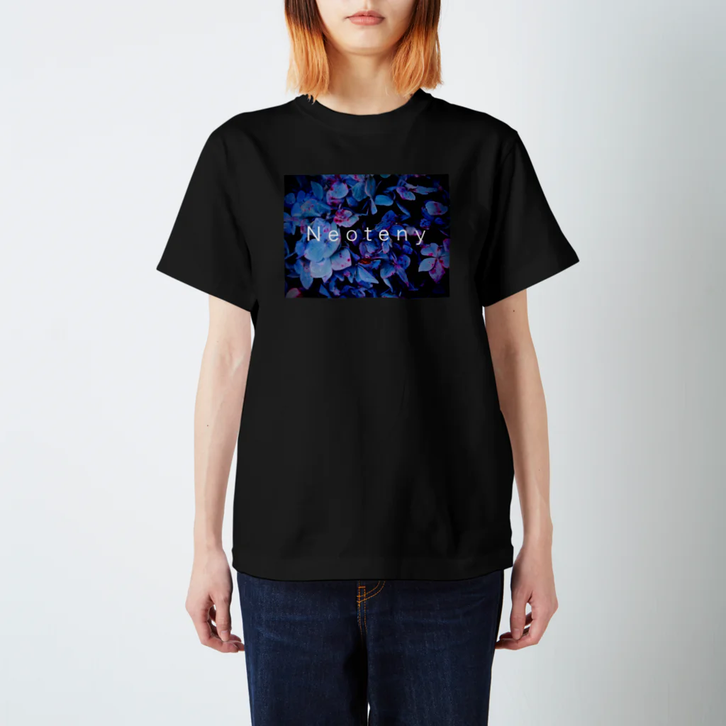 NeotenyのRain(val-riant) スタンダードTシャツ