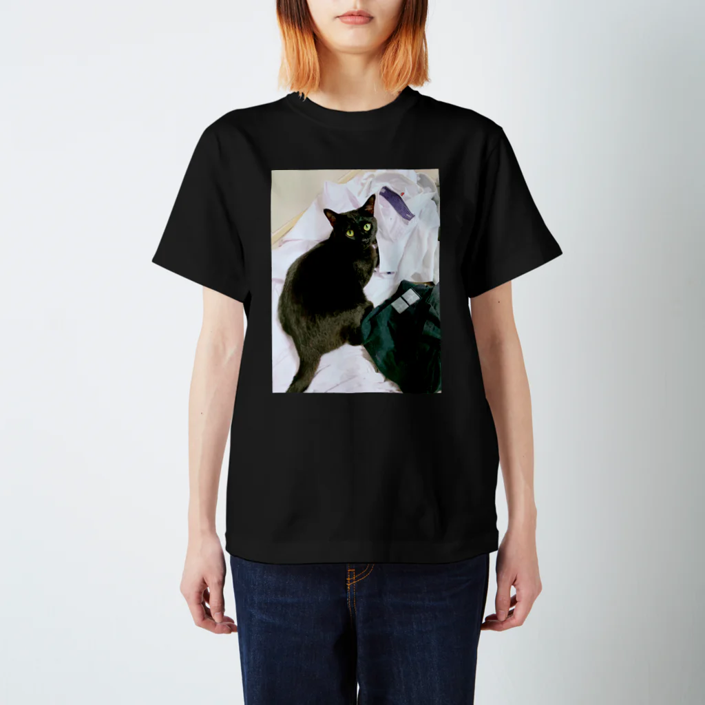 nyamuuの洗濯物 スタンダードTシャツ